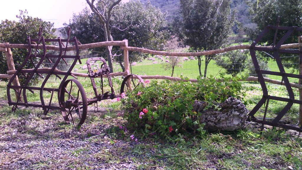 Agriturismo Cugumia Thiesi Exterior photo